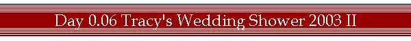 Day 0.06 Tracy's Wedding Shower 2003 II