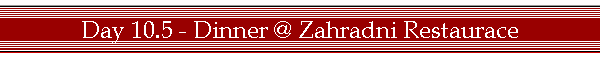 Day 10.5 - Dinner @ Zahradni Restaurace